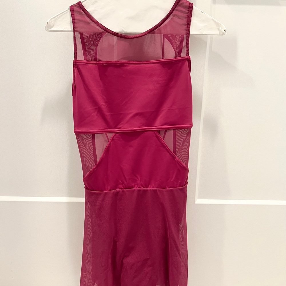 balera mesh leotard dress